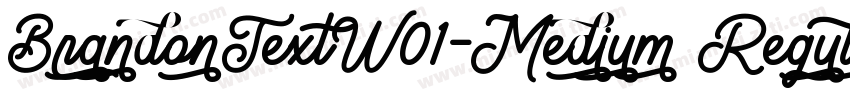 BrandonTextW01-Medium Regular字体转换